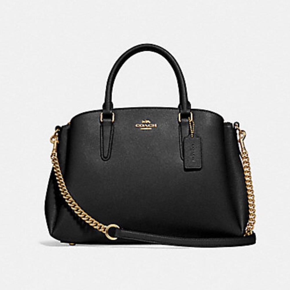 Sage carry all Coach handbag